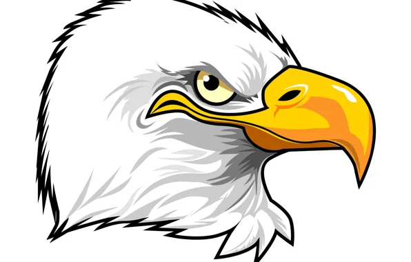 Картинка feathers, eagle, beak, penetrating gaze