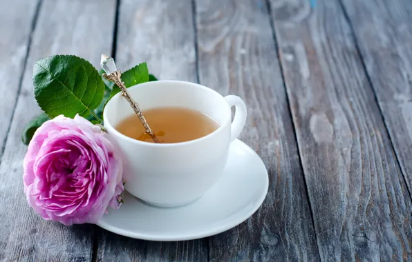 Роза, rose, flower, pink, cup, tea, чашка чая