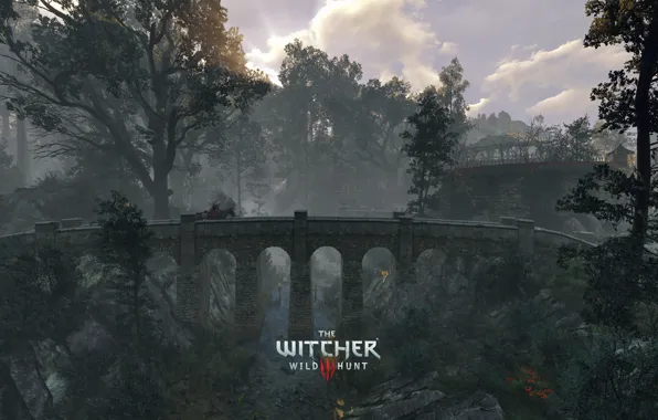 Картинка The Witcher, DLC, CD Projekt RED, The Witcher 3: Wild Hunt, Geralt, The Witcher 3 …