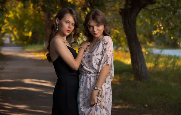 Природа, дерево, листва, дорожка, двое, Александр Журавлёв, парная фотография, Старком