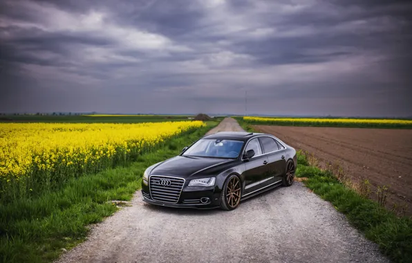 Audi, Evening, VAG