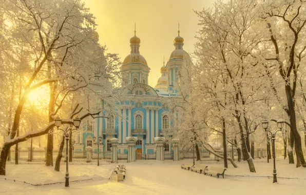 Картинка зима, снег, деревья, город, Питер, Санкт-Петербург, Гордеев Эдуард, Эдуард Гордеев