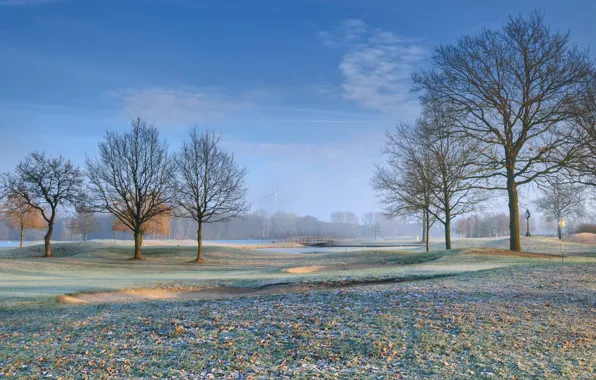 Картинка листья, деревья, поле, golf course, иней