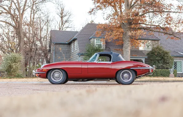 Картинка Jaguar, E-Type, 1970, Jaguar E-Type, side view