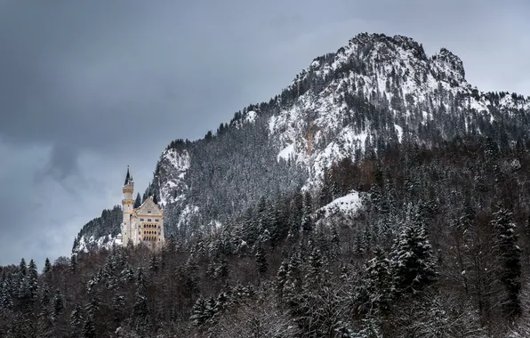 Зима, лес, гора, Германия, Бавария, Germany, Bavaria, Neuschwanstein Castle