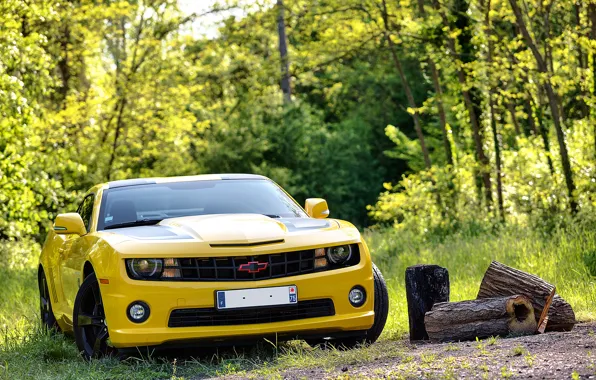 2012, шевроле, camaro, chevrolet, transformers, камаро, transformers edition