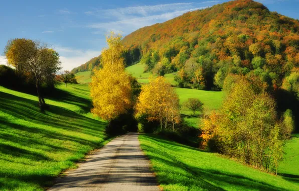 Картинка green, road, trees, autumn, hill, shadows, sunlight