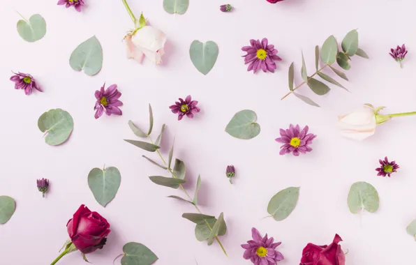 Картинка цветы, фон, pink, leaves, декор