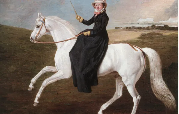 Картинка белый конь, цилиндр шляпа, девушка всадник, верхом на лошади, BMarshall