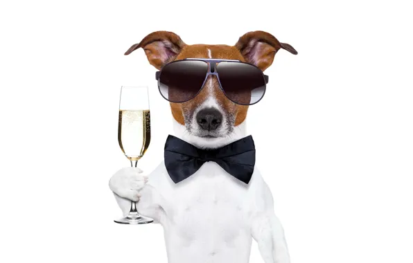 Картинка бокал, собака, Новый Год, очки, шампанское, dog, New Year, Happy