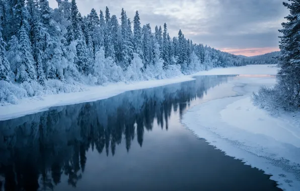 Картинка зима, снег, пейзаж, природа, река, леса, берега, Карелия