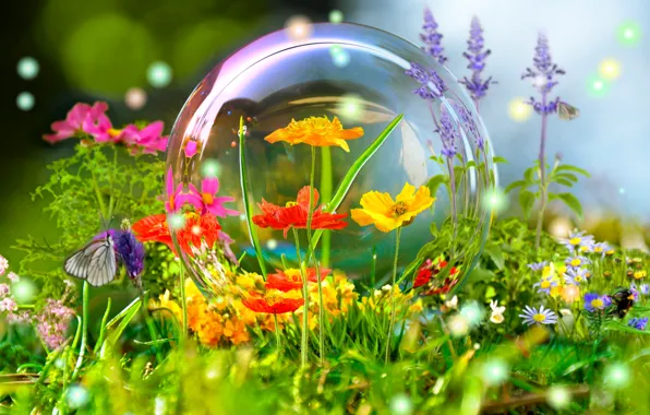 Картинка цветы, природа, отражение, бабочка, шар, луг, пузырь