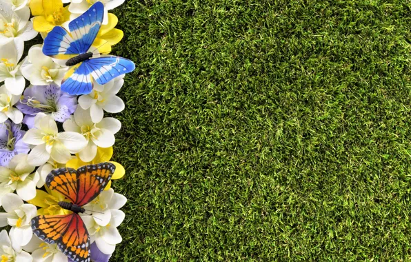 Бабочки, цветы, весна, grass, травка, flowers, spring, lawn