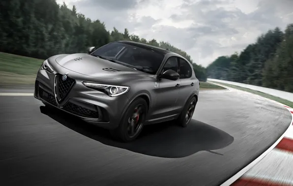 Alfa Romeo, гоночный трек, 2018, кроссовер, Quadrifoglio, Stelvio
