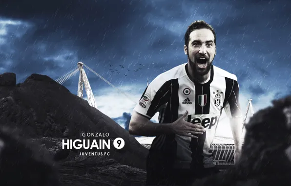 Wallpaper, sport, football, player, Gonzalo Higuain, Juventus FC, Juventus Stadium