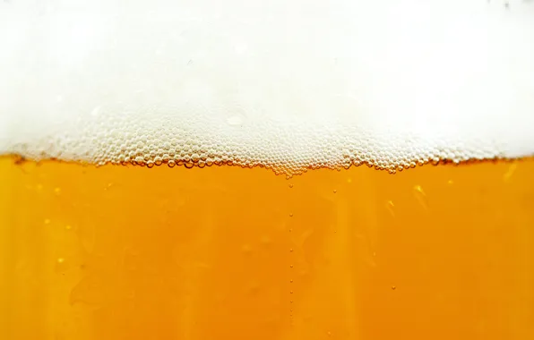 Картинка пена, пиво, beer