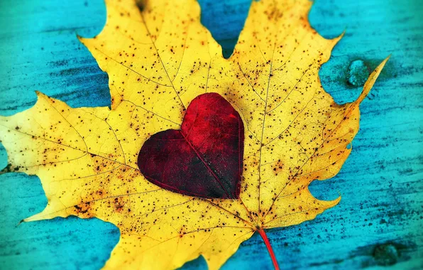 Картинка листья, любовь, сердце, love, листопад, heart, autumn, leaves