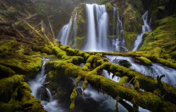 Мох, Орегон, водопады, каскад, Oregon, брёвна, Downing Creek, Downing Creek Falls