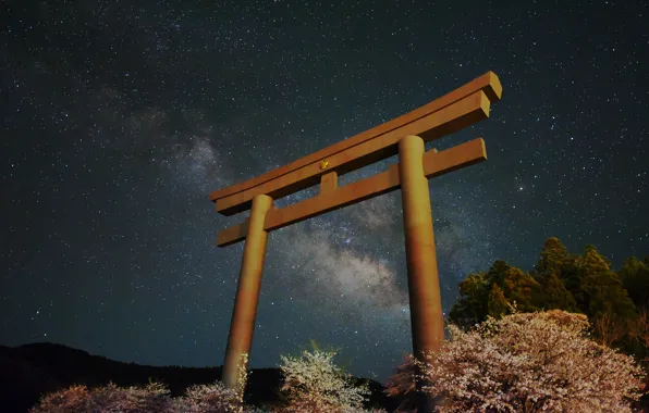 Картинка звезды, пейзаж, ворота, Япония, Млечный путь, Japan, тории
