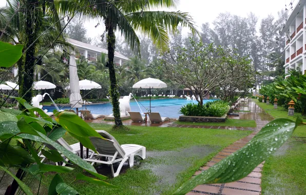 Картинка капли, пальмы, дождь, бассейн, отель, Phuket, Thailand, тайланд