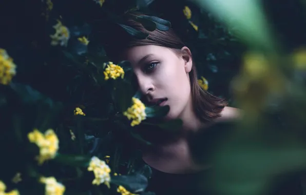Взгляд, листья, девушка, цветы, природа, боке, Michael Färber