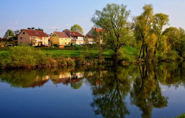 Деревья, город, река, фото, дома, Германия, Ulm