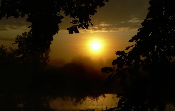 Картинка лето, озеро, Солнце, утро