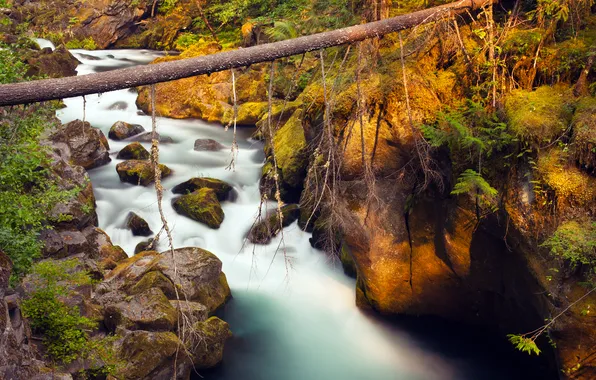 Картинка природа, река, камни, водопад, мох, Toketee Falls