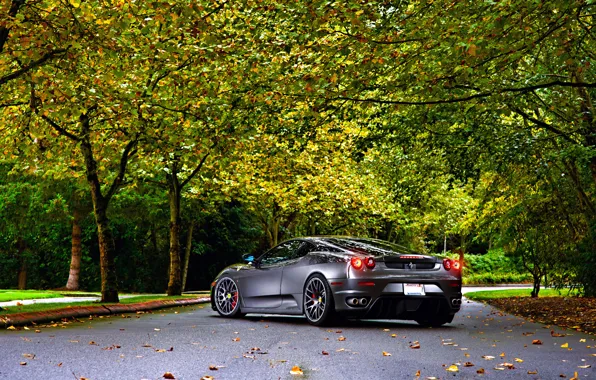 Картинка Ferrari, Green, Autumn, Tuning, asphalt, Silver, 430, Wheels