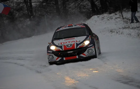 Картинка Пежо, Peugeot, Rally, Ралли, Monte Carlo, IRC, 207