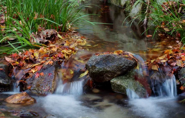 Картинка осень, трава, листья, ручей, камни, водопад