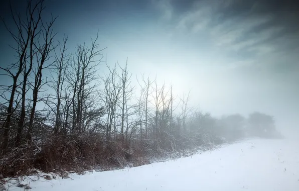 Картинка зима, поле, пейзаж, туман
