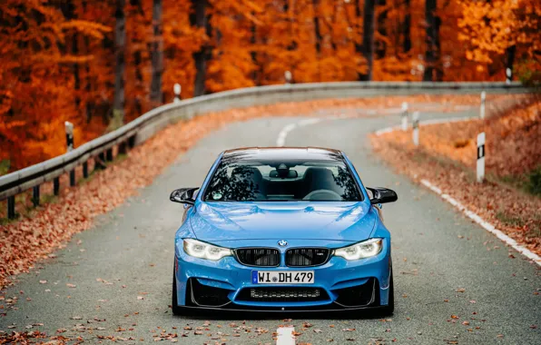 BMW, Blue, Autumn, Road, F80, Sight