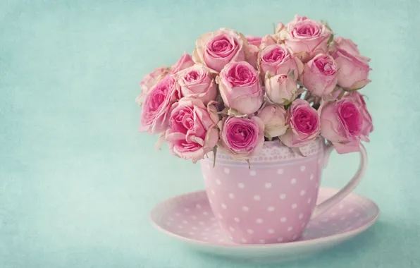 Картинка цветы, фон, розы, букет, flower, background, floral