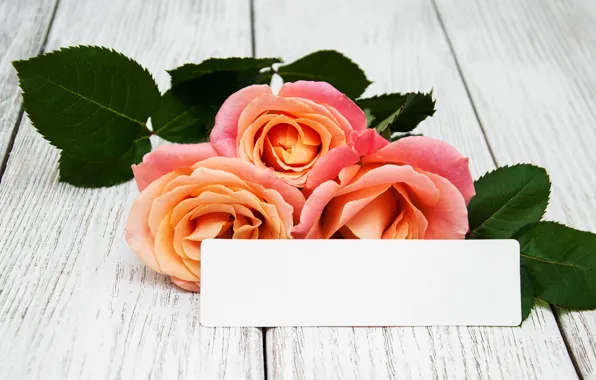 Цветы, розы, букет, розовые, wood, pink, roses