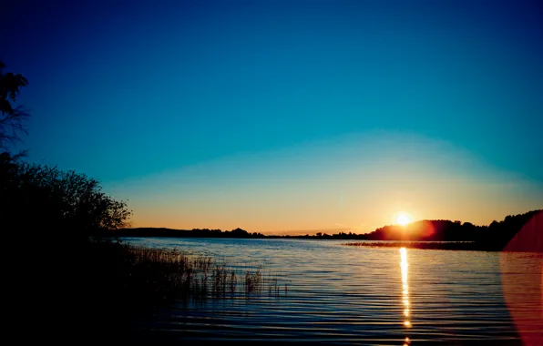 Картинка волны, лес, вода, солнце, лучи, свет, закат, озеро