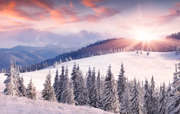 Картинка зима, солнце, снег, горы, рассвет, ёлки