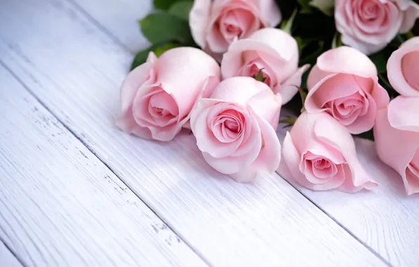 Картинка цветы, розы, букет, розовые, wood, pink, flowers, beautiful