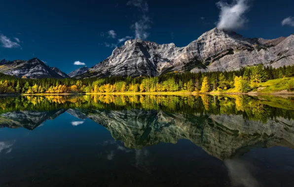 Картинка осень, лес, горы, озеро, отражение, Канада, Альберта, Alberta