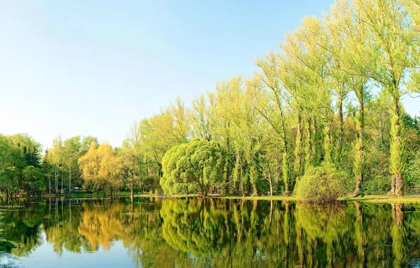 Картинка деревья, природа, озеро, пруд, обои, wallpaper