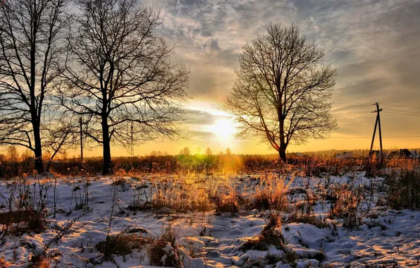 Деревья, закат, природа, трава снег