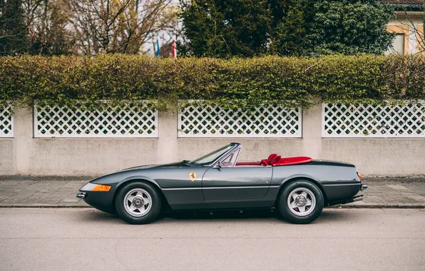 Картинка Ferrari, 365, 1972, Ferrari 365 GTS/4 Daytona