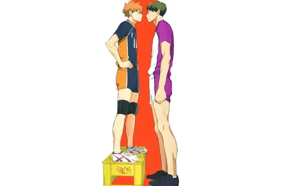 Парни, ящик, Волейбол, Haikyuu, Хината Сё, Ушиджима Вакатоши