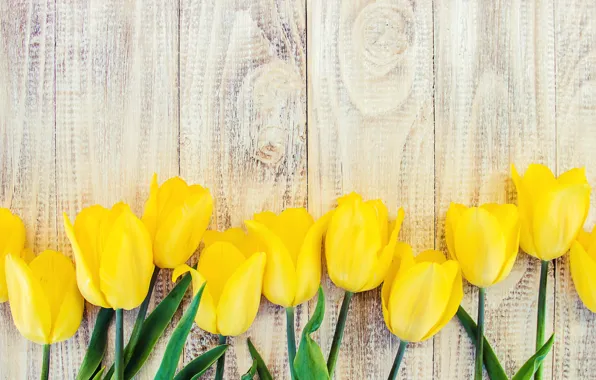 Картинка цветы, желтые, тюльпаны, yellow, wood, flowers, beautiful, tulips