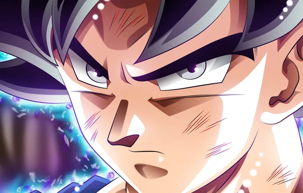 DBS, game, anime, asian, manga, Dragon Ball, Dragon Ball Super, japonese