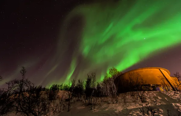 Картинка зима, небо, деревья, ночь, башня, северное сияние