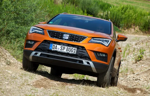 Растительность, подъём, SUV, Seat, 2017, 4Drive, Ateca