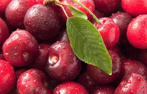 Макро, вишня, фото, сладкая, черешня, macro, Sweet cherry, ciliege