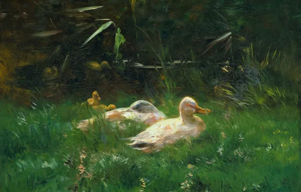 Масло, картина, холст, Утки, 1904, Виллем Марис, Willem Maris