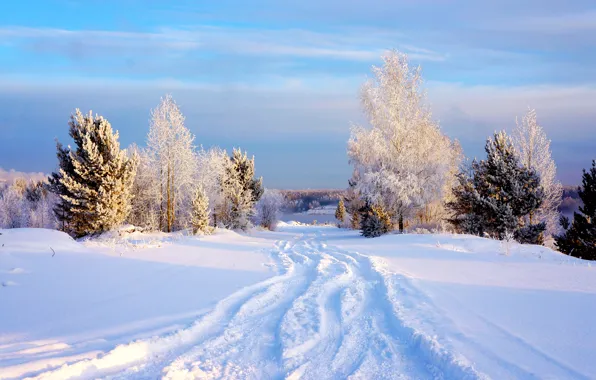 Зима, небо, снег, деревья, Sky, Winter, Snow, Trees
